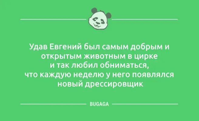 Смешные анекдоты и шутки для хорошего настроения