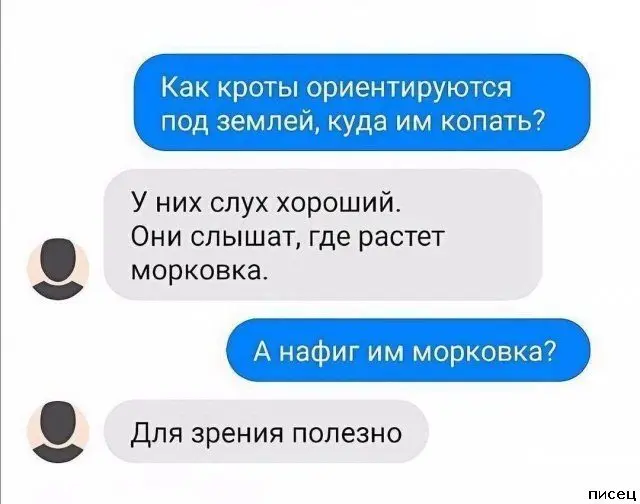 Смех сквозь экран: уморительные смс-переписки