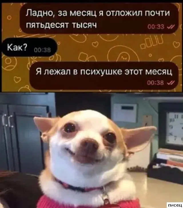 Смех сквозь экран: уморительные смс-переписки