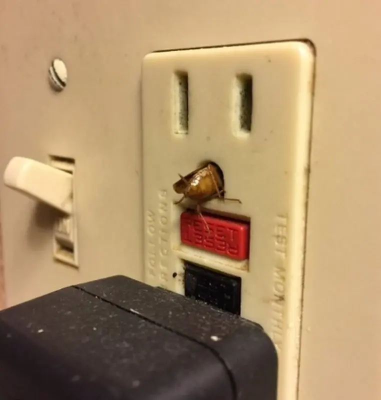 Не люкс: номера отелей, из которых вам захочется сбежать как можно быстрее Не люкс: номера отелей, из которых вам захочется сбежать как можно быстрее