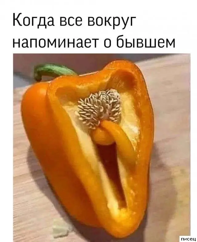 Смешные приколы Писца на тему «Когда»