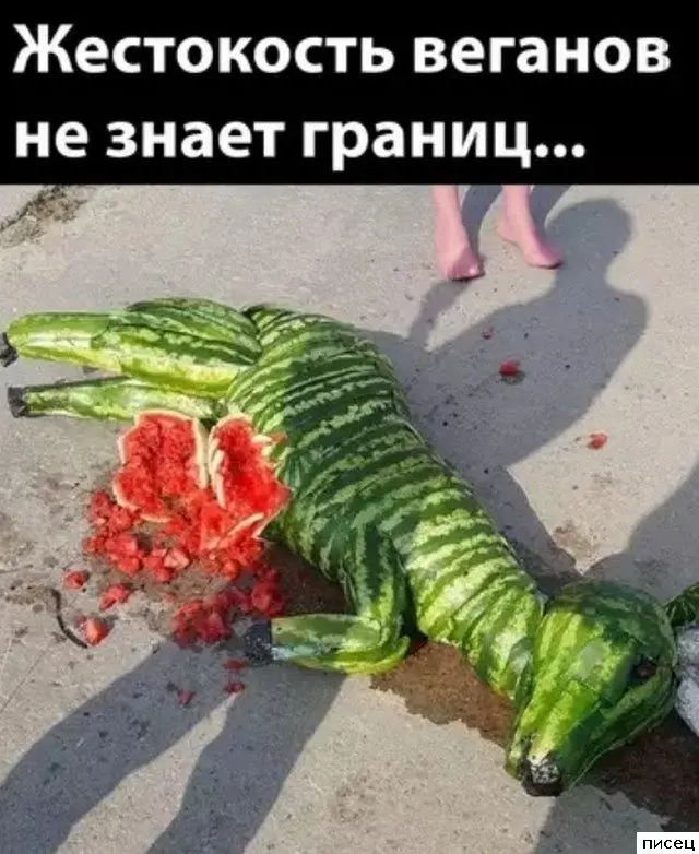 Лучшие приколы недели: свежая порция смеха из интернета