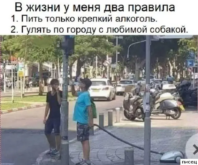 Лучшие приколы недели: свежая порция смеха из интернета