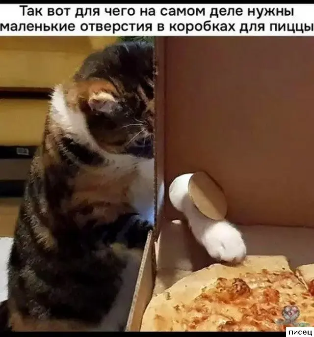 Лучшие приколы недели: свежая порция смеха из интернета