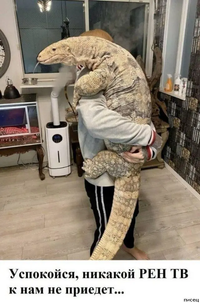 Лучшие приколы недели: свежая порция смеха из интернета