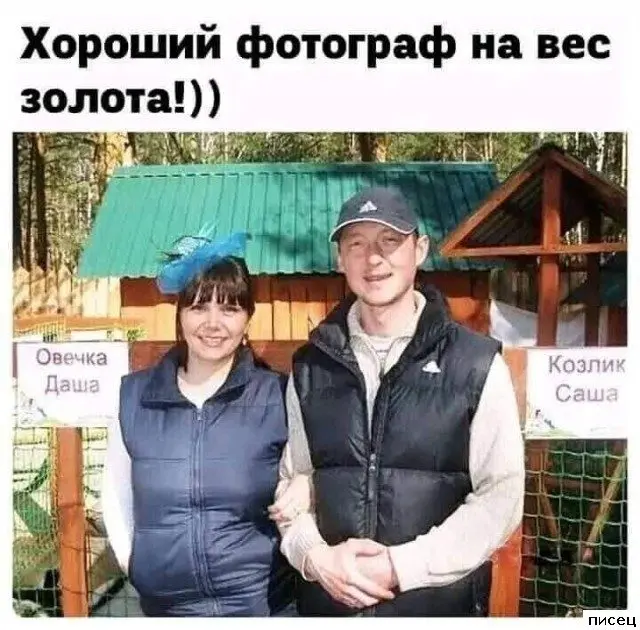 Лучшие приколы недели: свежая порция смеха из интернета