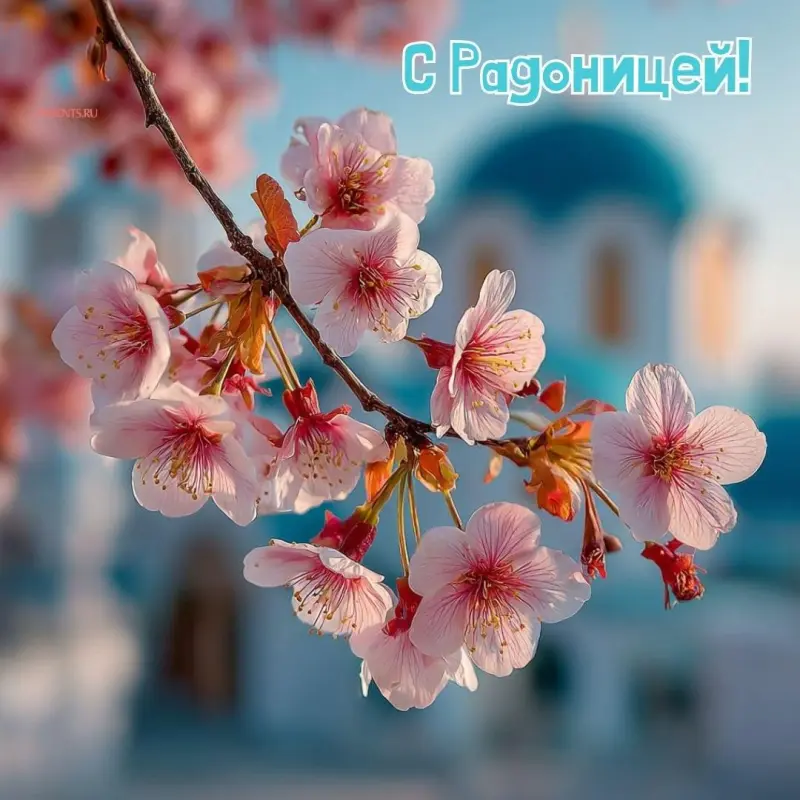 Открытки на Радоницу: более 40 картинок для поминовения близких