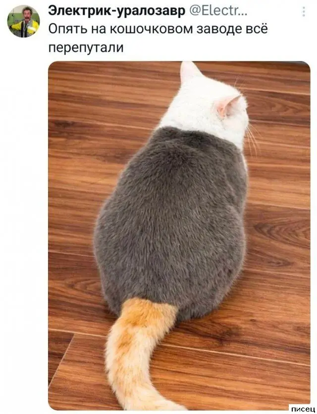 Смех до слёз: гениальные и нелепые комментарии из соцсетей