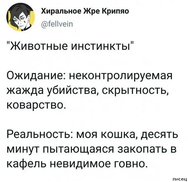 Смех до слёз: гениальные и нелепые комментарии из соцсетей