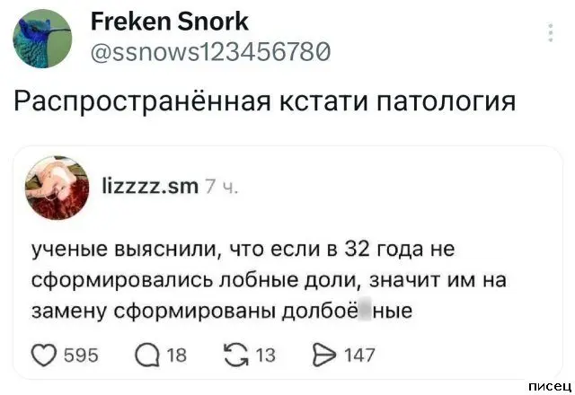 Смех до слёз: гениальные и нелепые комментарии из соцсетей