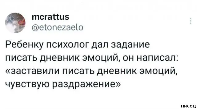 Смех до слёз: гениальные и нелепые комментарии из соцсетей