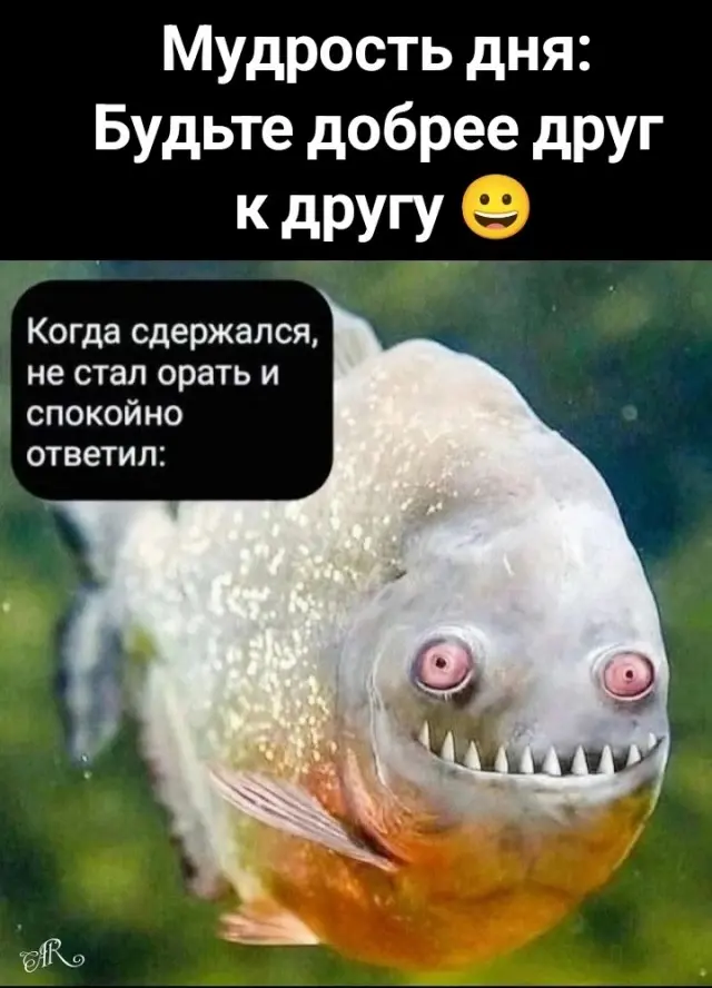 Смех в маленькую пятницу: большая подборка свежих мемов