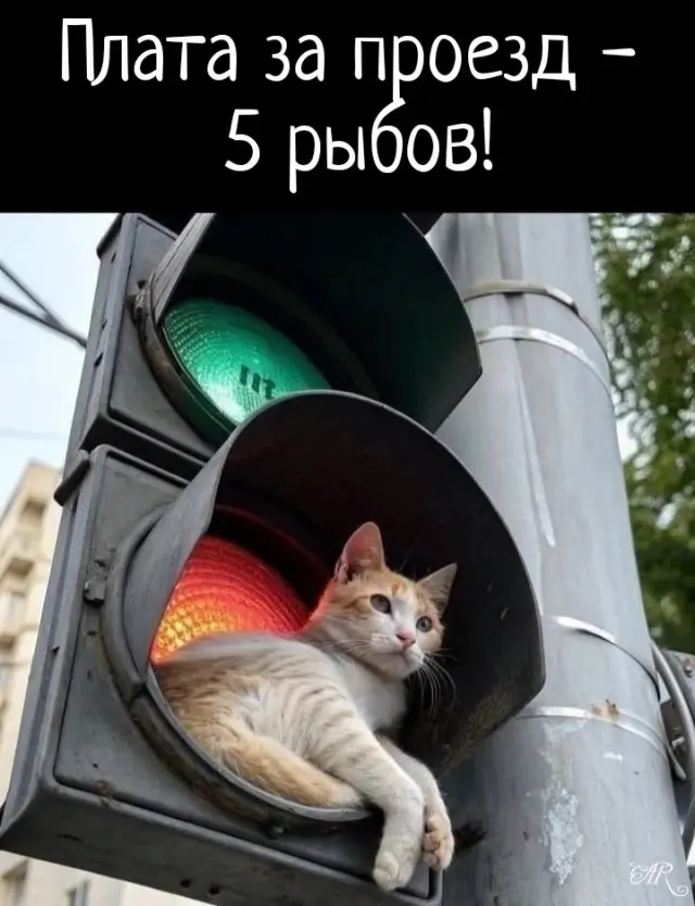 Смех в маленькую пятницу: большая подборка свежих мемов