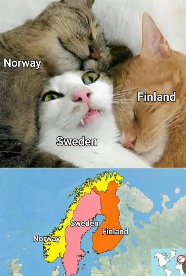 Смех в маленькую пятницу: большая подборка свежих мемов