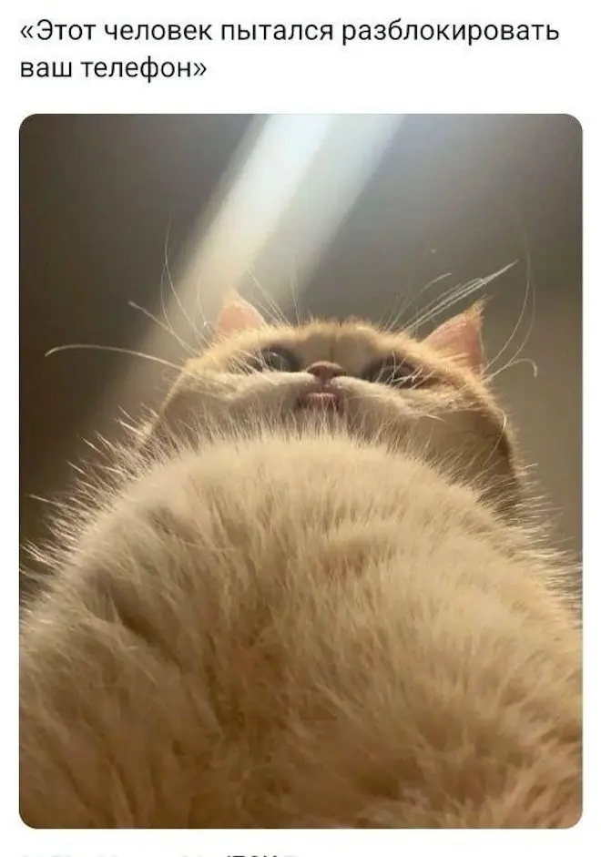 Маленькая пятница: мега-сборник свежих мемов для хорошего настроения