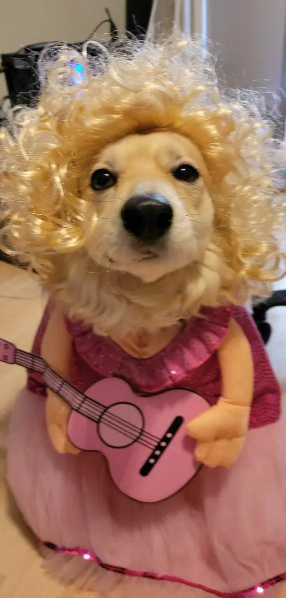 Маленькая пятница: мега-сборник свежих мемов для хорошего настроения