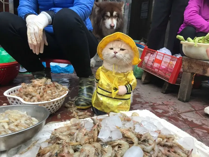 Маленькая пятница: мега-сборник свежих мемов для хорошего настроения