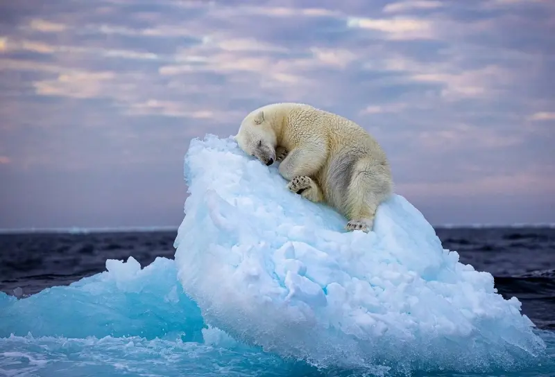 Маленькая пятница: мега-сборник свежих мемов для хорошего настроения