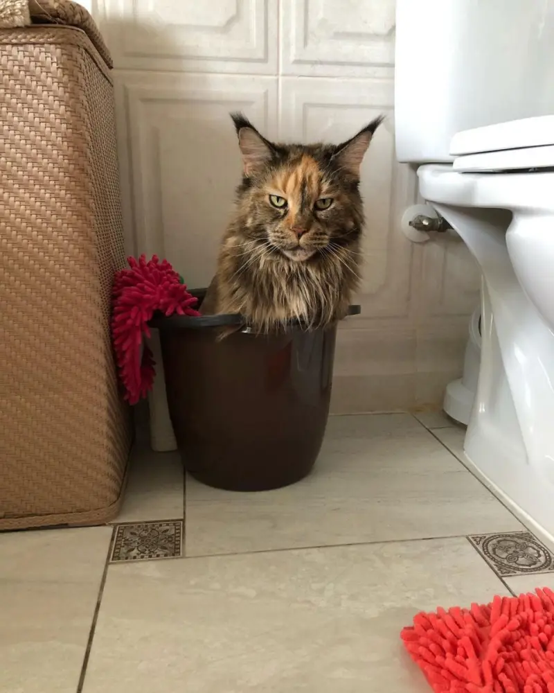 Маленькая пятница: мега-сборник свежих мемов для хорошего настроения