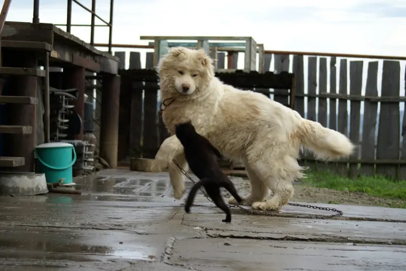 Маленькая пятница: мега-сборник свежих мемов для хорошего настроения