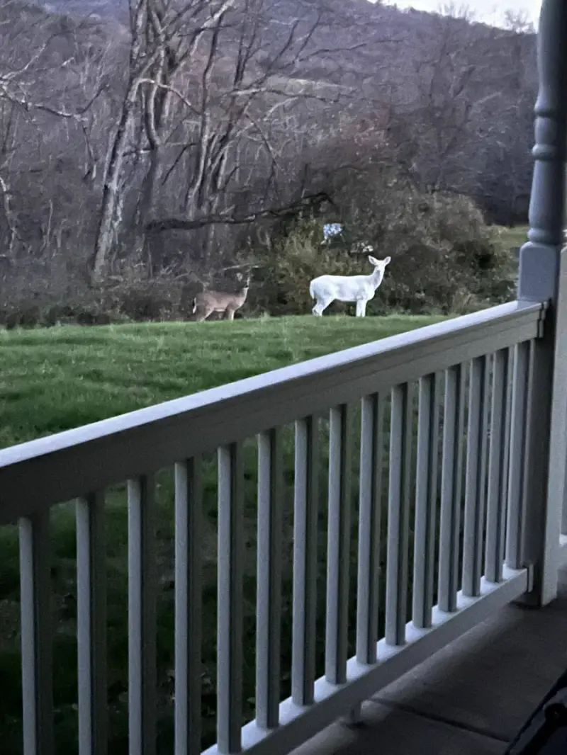 Маленькая пятница: мега-сборник свежих мемов для хорошего настроения