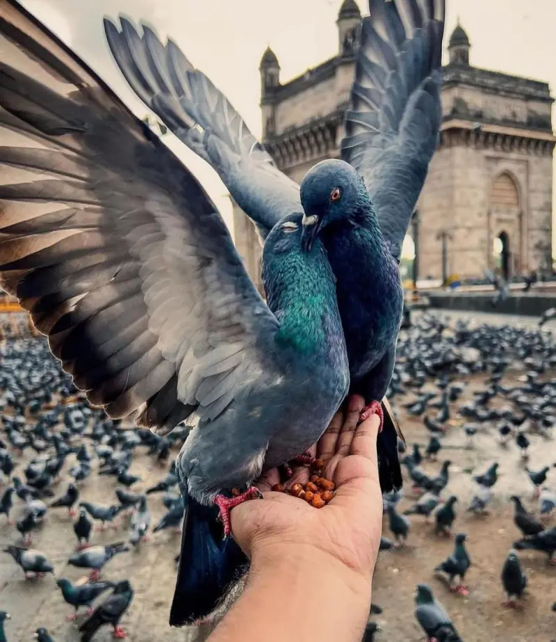 Маленькая пятница: мега-сборник свежих мемов для хорошего настроения