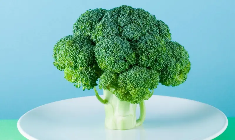 Фундамент интеллекта: что нужно есть ребенку в первые 1000 дней жизни