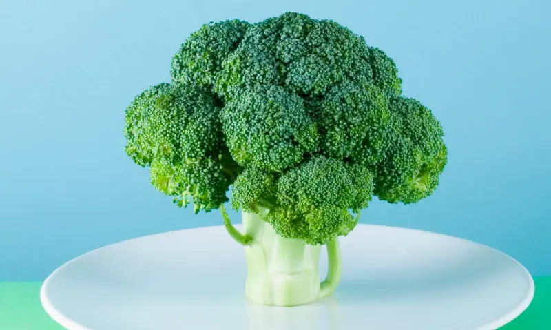 Фундамент интеллекта: что нужно есть ребенку в первые 1000 дней жизни