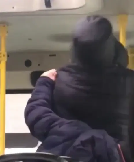 Пьяный дебошир с собакой устроил скандал в тюменской маршрутке