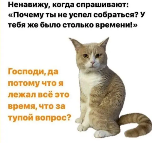 Свежая порция мемов: от абсурда до жизненной правды