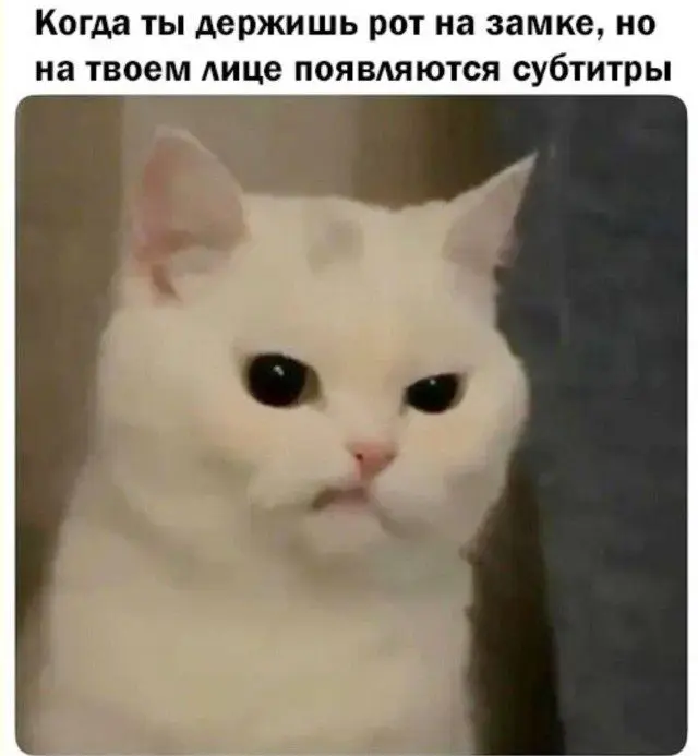 Свежая порция мемов: от абсурда до жизненной правды