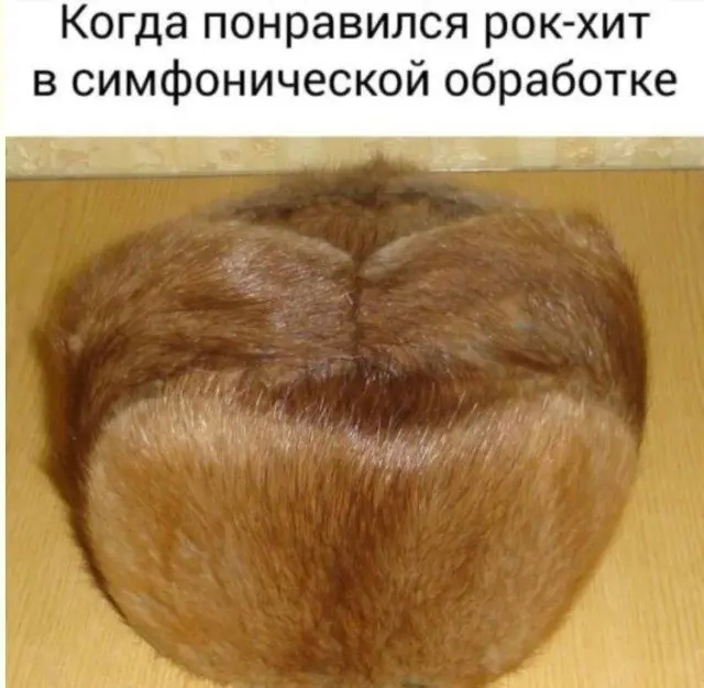 Свежая порция мемов: от абсурда до жизненной правды