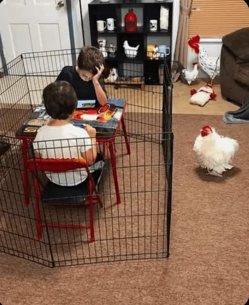 Обычная жизнь, но под неожиданным углом: 25 фото, которые заставят улыбнуться