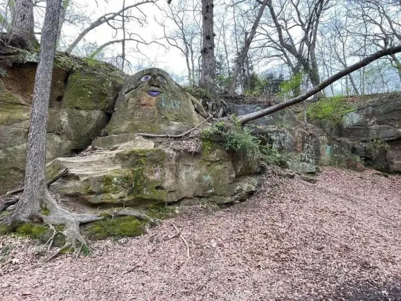 Обычная жизнь, но под неожиданным углом: 25 фото, которые заставят улыбнуться