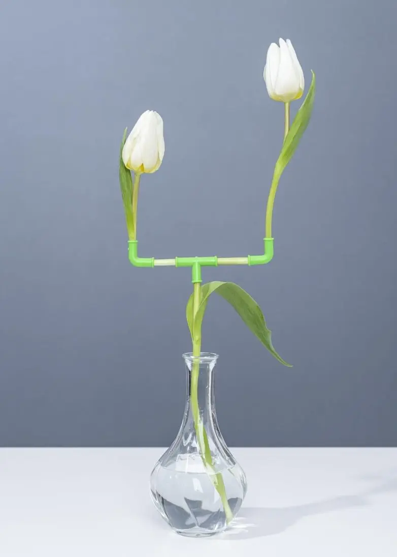 Обычная жизнь, но под неожиданным углом: 25 фото, которые заставят улыбнуться