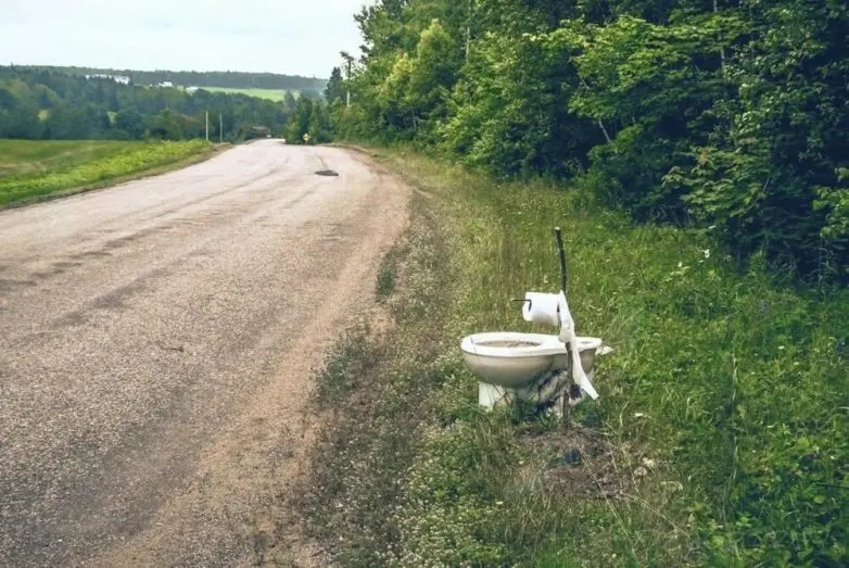 Обычная жизнь, но под неожиданным углом: 25 фото, которые заставят улыбнуться