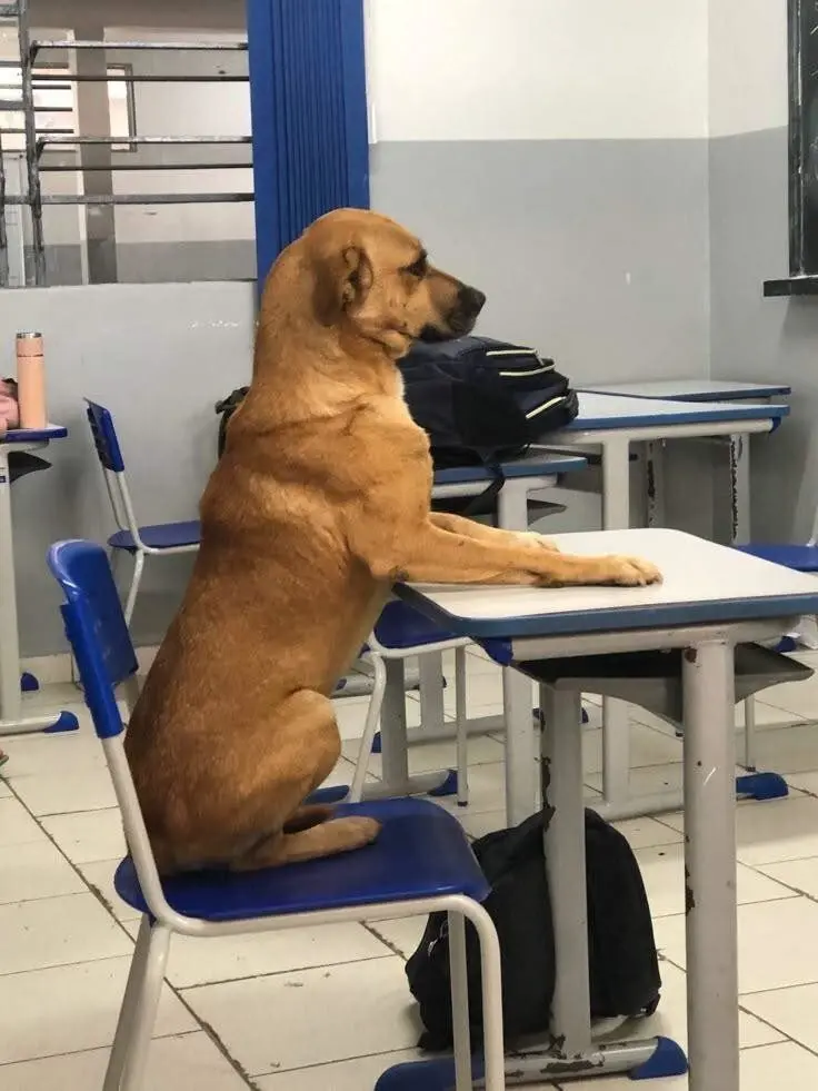 Обычная жизнь, но под неожиданным углом: 25 фото, которые заставят улыбнуться