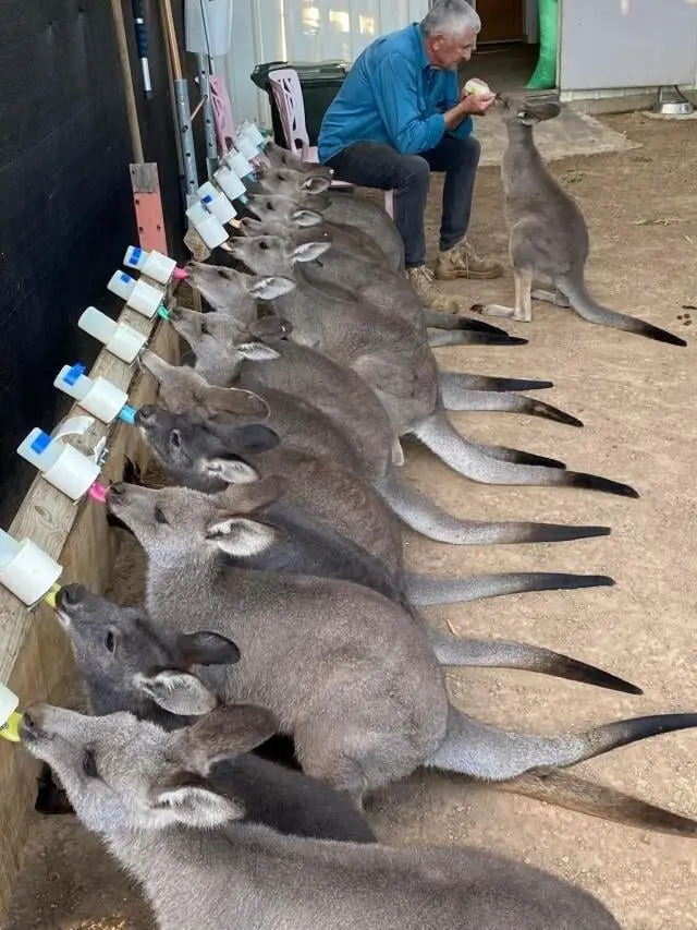 Обычная жизнь, но под неожиданным углом: 25 фото, которые заставят улыбнуться