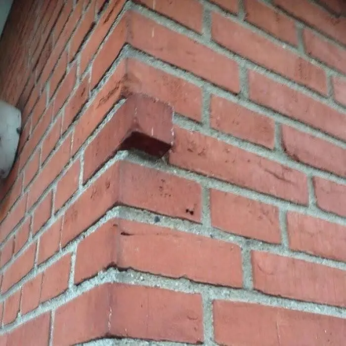 Обычная жизнь, но под неожиданным углом: 25 фото, которые заставят улыбнуться