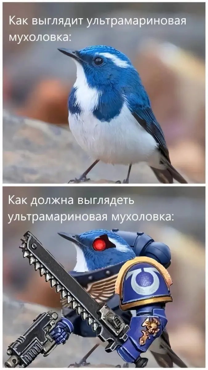 Утренний заряд позитива: свежая порция смешных мемов