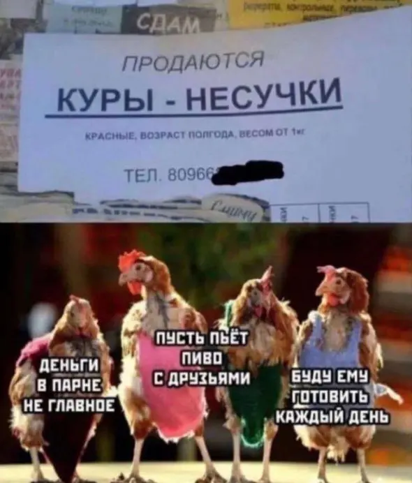 Утренний заряд позитива: свежая порция смешных мемов