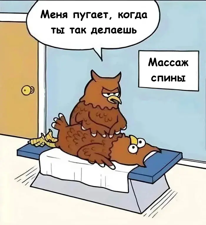 Утренний заряд позитива: свежая порция смешных мемов