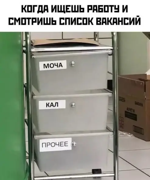 Утренний заряд позитива: свежая порция смешных мемов