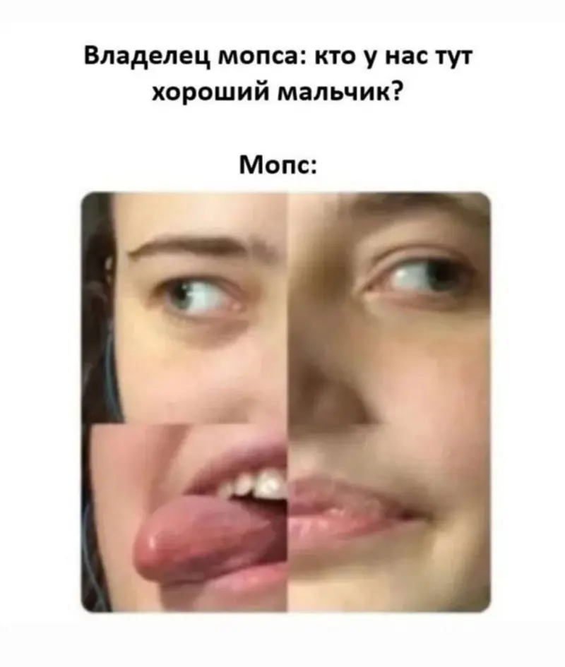 Утренний заряд позитива: свежая порция смешных мемов