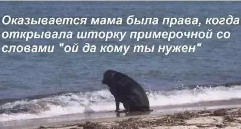 Утренний заряд позитива: свежая порция смешных мемов