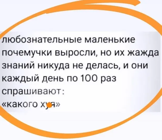 Утренний заряд позитива: свежая порция смешных мемов