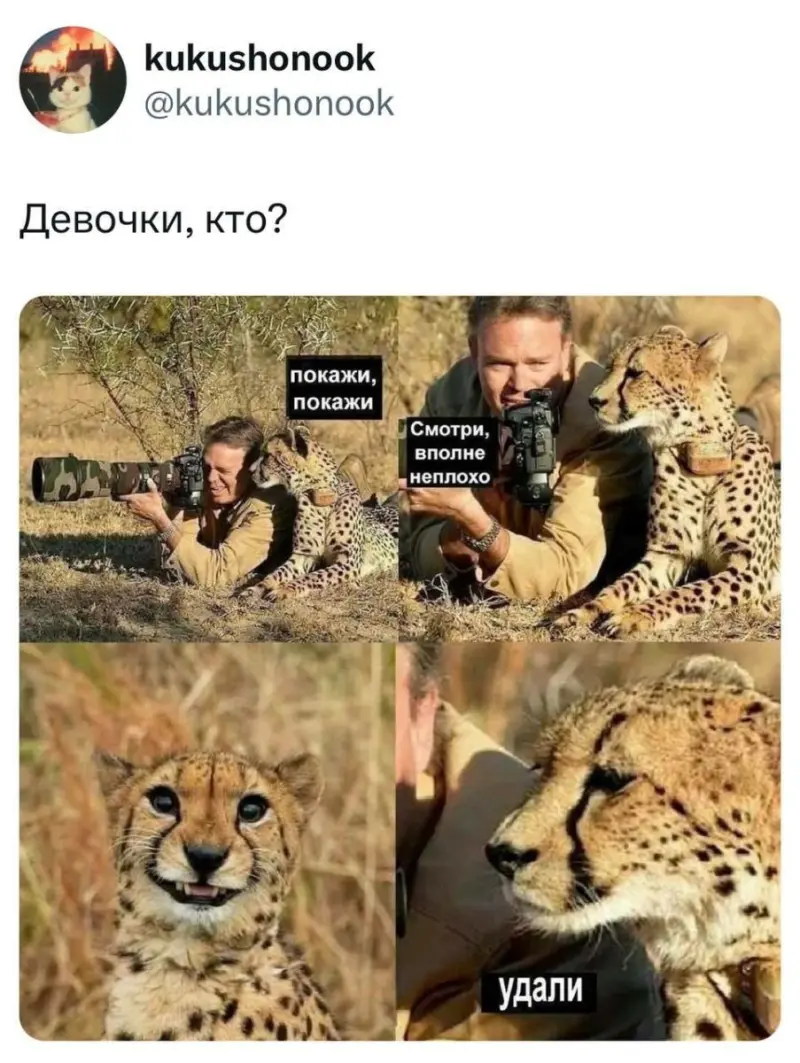 Улыбнитесь шире: подборка позитива, которая точно поднимет настроение