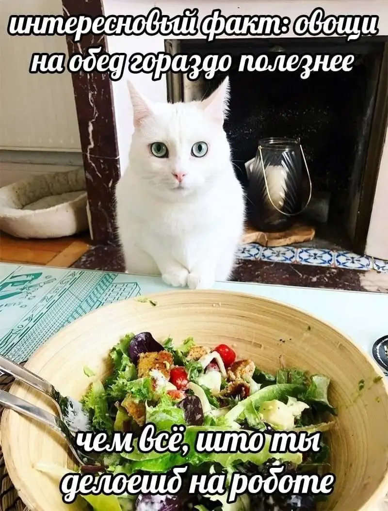 Улыбнитесь шире: подборка позитива, которая точно поднимет настроение