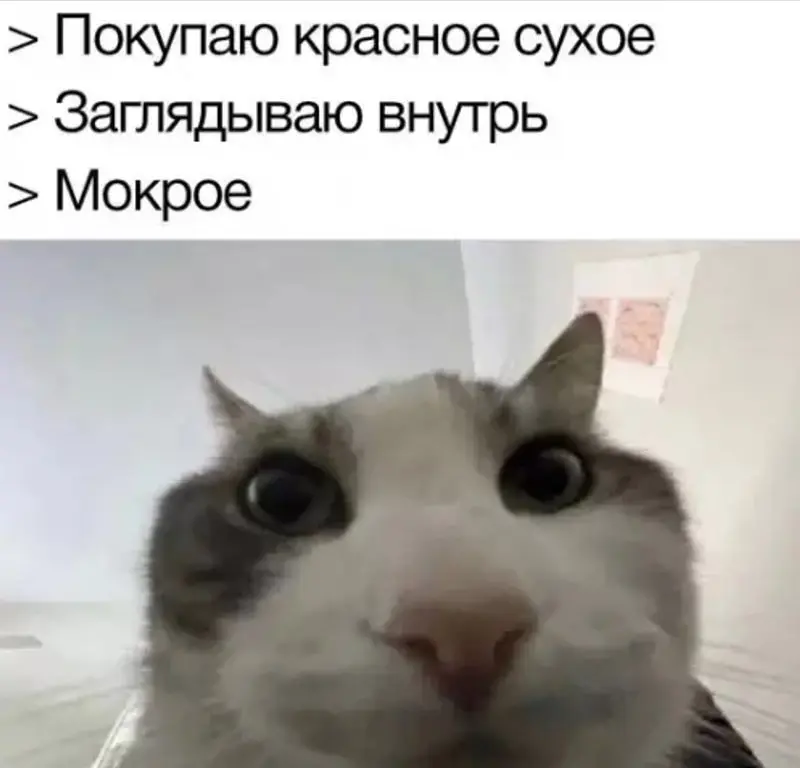 Улыбнитесь шире: подборка позитива, которая точно поднимет настроение