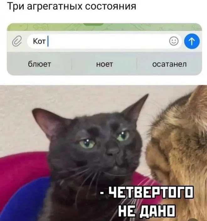 Улыбнитесь шире: подборка позитива, которая точно поднимет настроение